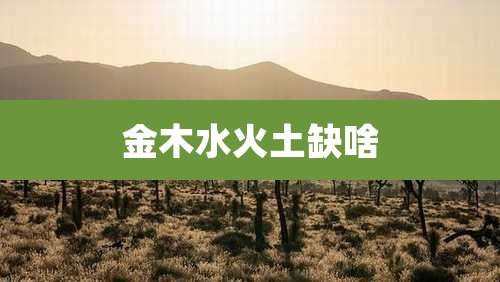 金木水火土缺啥