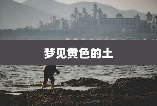 梦见黄色的土