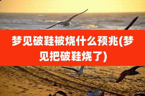 梦见破鞋被烧什么预兆(梦见把破鞋烧了)