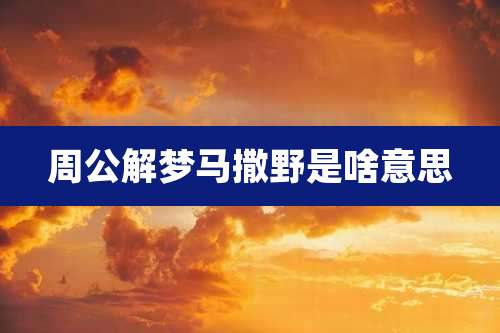 周公解梦马撒野是啥意思