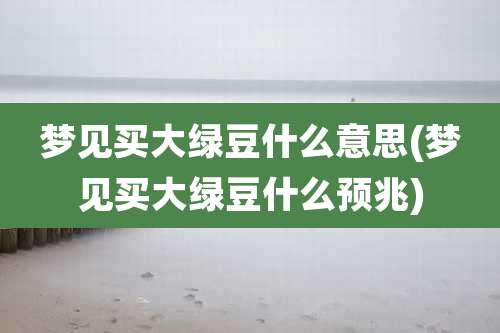 梦见买大绿豆什么意思(梦见买大绿豆什么预兆)