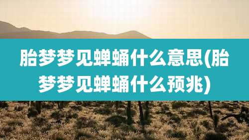 胎梦梦见蝉蛹什么意思(胎梦梦见蝉蛹什么预兆)