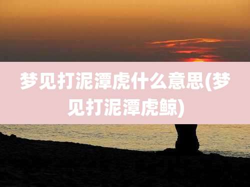 梦见打泥潭虎什么意思(梦见打泥潭虎鲸)