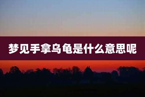 梦见手拿乌龟是什么意思呢