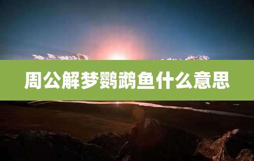 周公解梦鹦鹉鱼什么意思