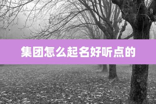 集团怎么起名好听点的