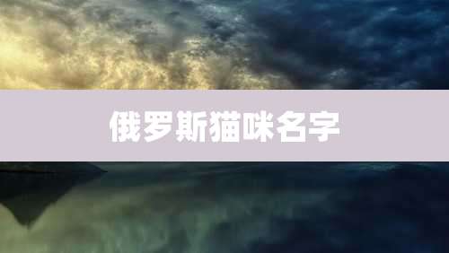 俄罗斯猫咪名字