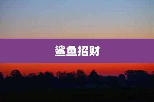 鲨鱼招财
