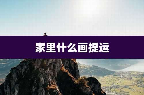 家里什么画提运
