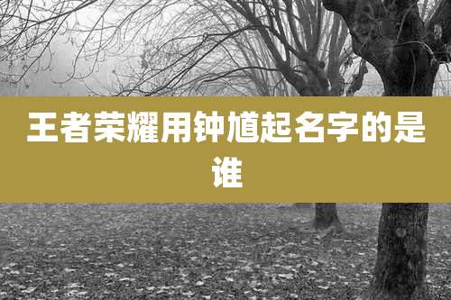 王者荣耀用钟馗起名字的是谁