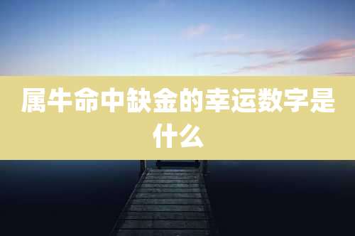 属牛命中缺金的幸运数字是什么