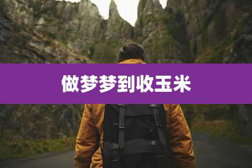 做梦梦到收玉米