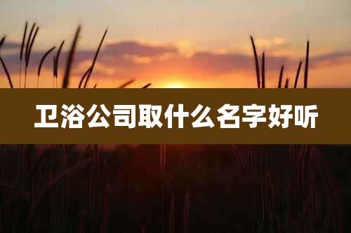 卫浴公司取什么名字好听