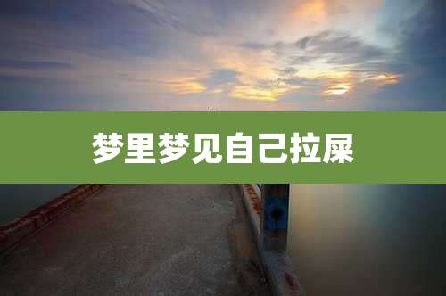 梦里梦见自己拉屎