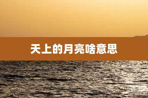天上的月亮啥意思