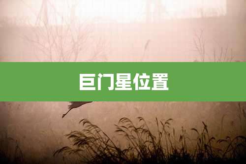 巨门星位置