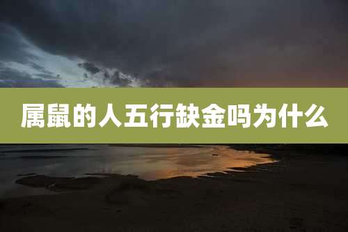 属鼠的人五行缺金吗为什么