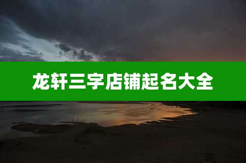 龙轩三字店铺起名大全