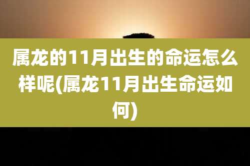 属龙的11月出生的命运怎么样呢(属龙11月出生命运如何)