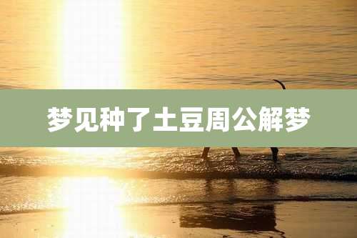 梦见种了土豆周公解梦