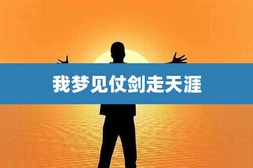 我梦见仗剑走天涯