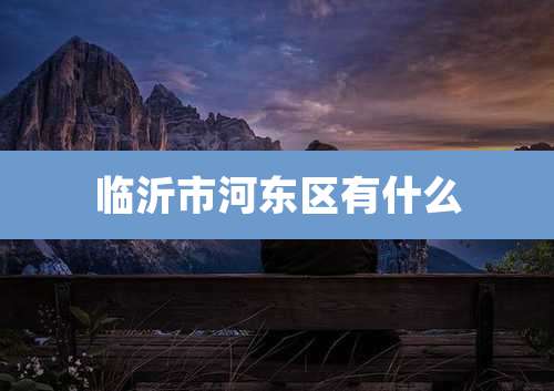 临沂市河东区有什么