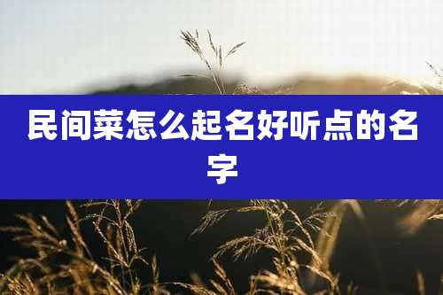 民间菜怎么起名好听点的名字