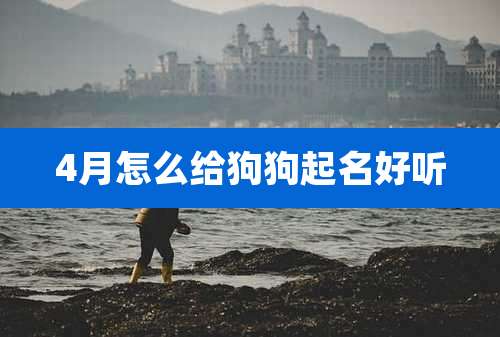 4月怎么给狗狗起名好听
