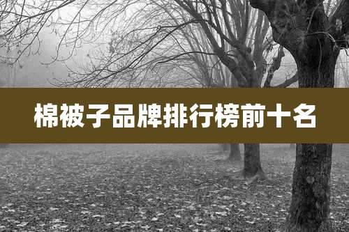 棉被子品牌排行榜前十名