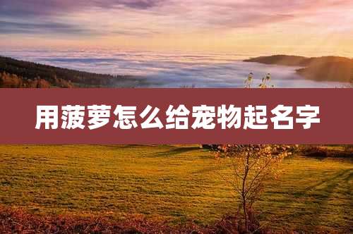 用菠萝怎么给宠物起名字