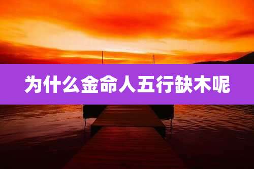 为什么金命人五行缺木呢