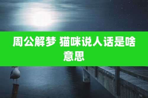 周公解梦 猫咪说人话是啥意思