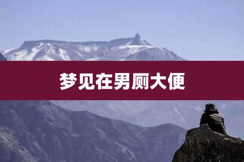 梦见在男厕大便