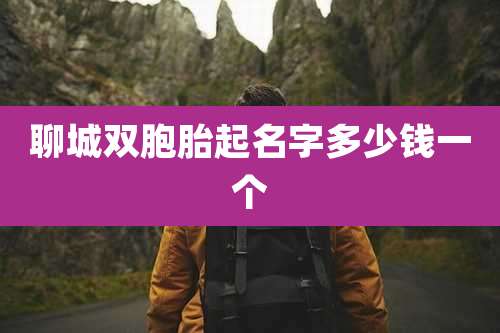 聊城双胞胎起名字多少钱一个