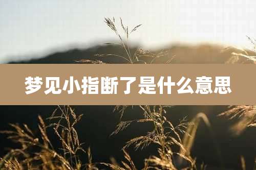 梦见小指断了是什么意思