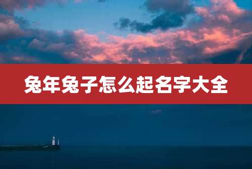 兔年兔子怎么起名字大全