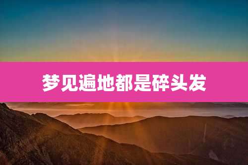 梦见遍地都是碎头发