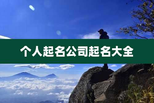 个人起名公司起名大全
