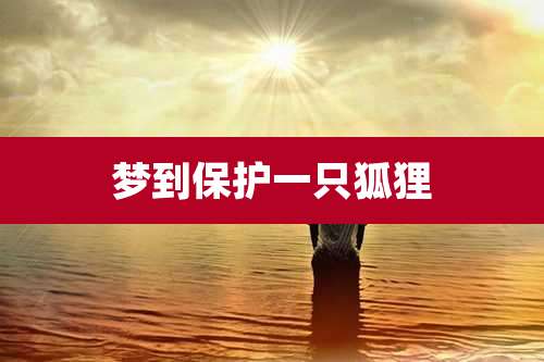 梦到保护一只狐狸