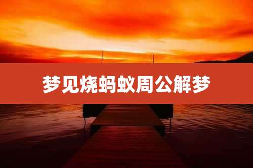 梦见烧蚂蚁周公解梦