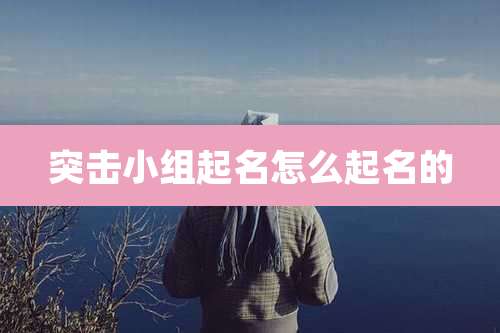 突击小组起名怎么起名的