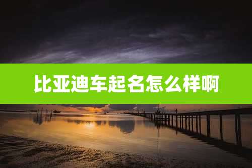 比亚迪车起名怎么样啊