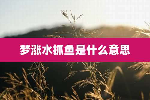梦涨水抓鱼是什么意思