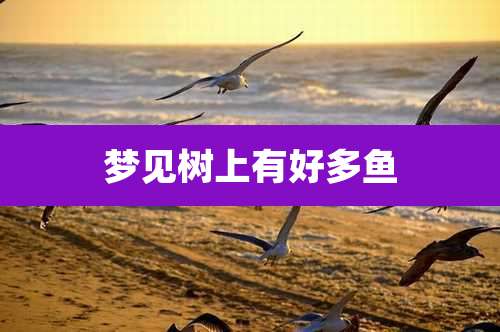 梦见树上有好多鱼