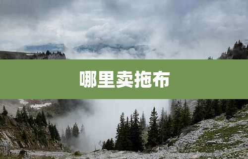 哪里卖拖布