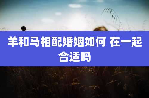 羊和马相配婚姻如何 在一起合适吗