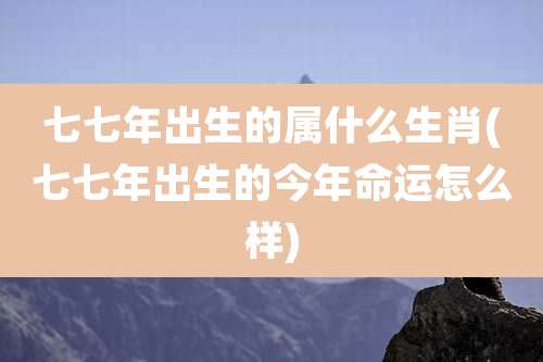 七七年出生的属什么生肖(七七年出生的今年命运怎么样)