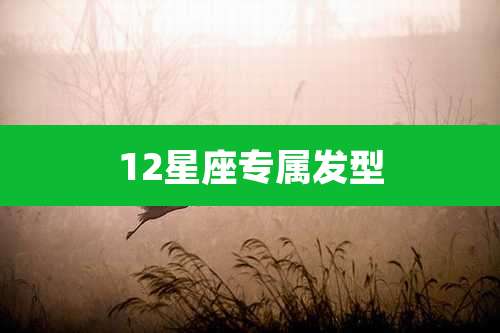 12星座专属发型