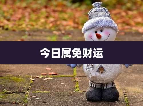 今日属免财运
