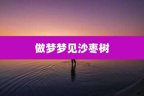 做梦梦见沙枣树